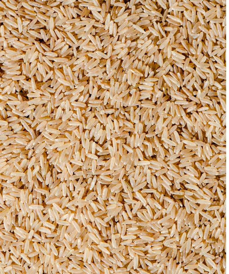Raw Bulk Brown Rice