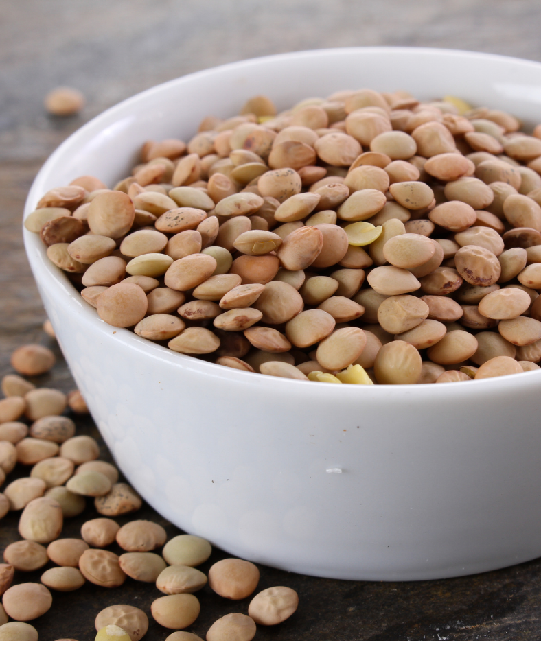 Raw Lentils