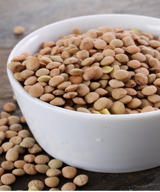 Raw Lentils